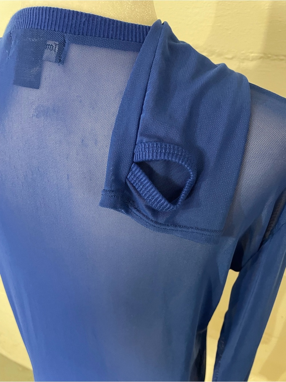 Sheer Long-Sleeve Crewneck Top - Blue - Picture 2 of 4